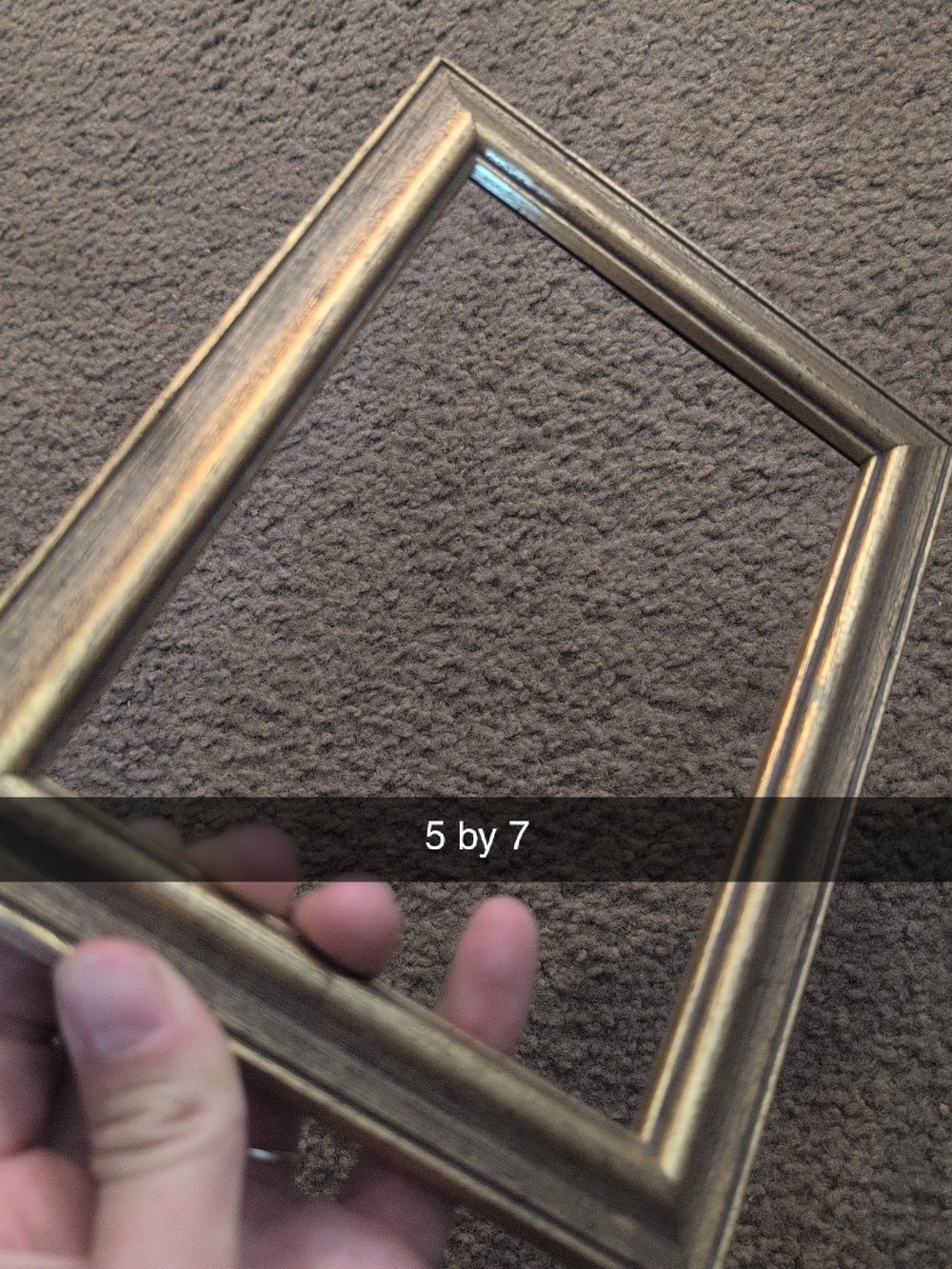 Vintage Gold 5x7 Picture Frame - Unbranded